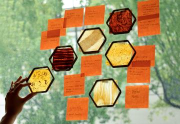 Multiple handwritten notes are stuck to a window alongside samples of translucent bio-materials.