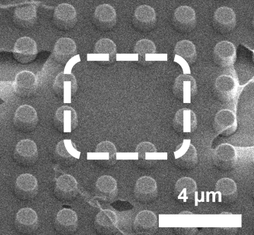 Graphene nanoelectromechanical resonators on pillars are shown in black and white.